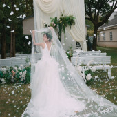 新品预售【梦中的婚礼】