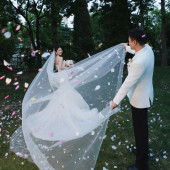 马先生&刘女士