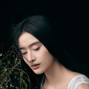 木龙知春·新风格合集