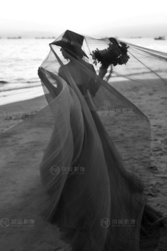 12月11日精选客照