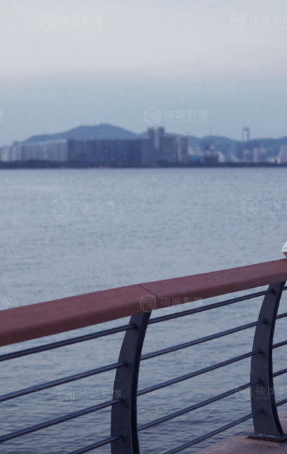 6月16日精选客照