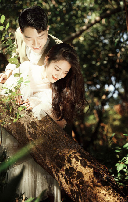 11.03日精选客照