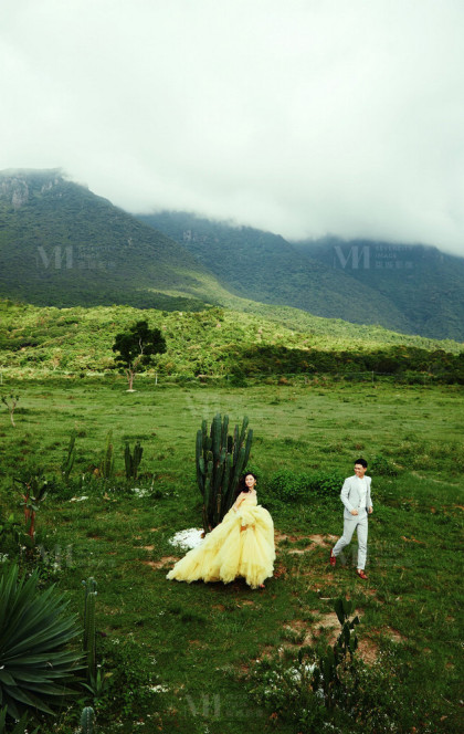 7月2日精选客照