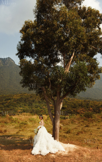 11月27日精选客照
