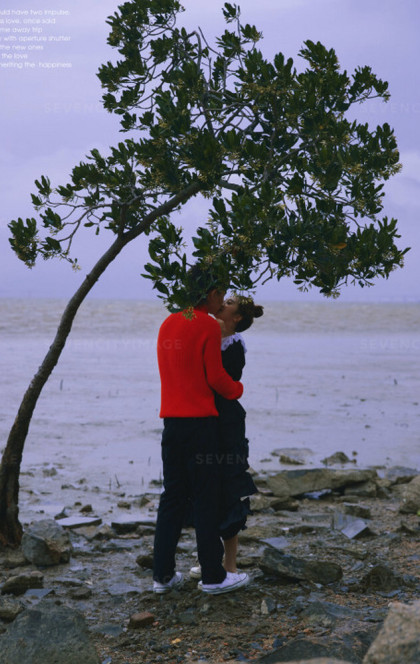 3月12号精选客照