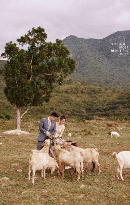 7月25日精选客照