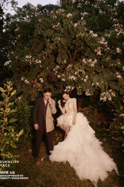 11月19日精选客照