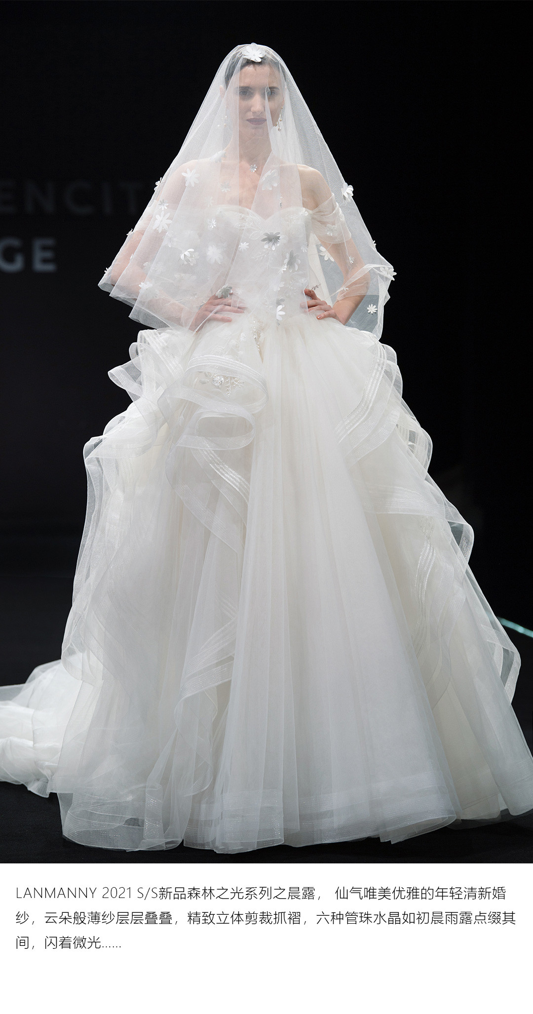 婚照品牌联盟-新品发布大秀