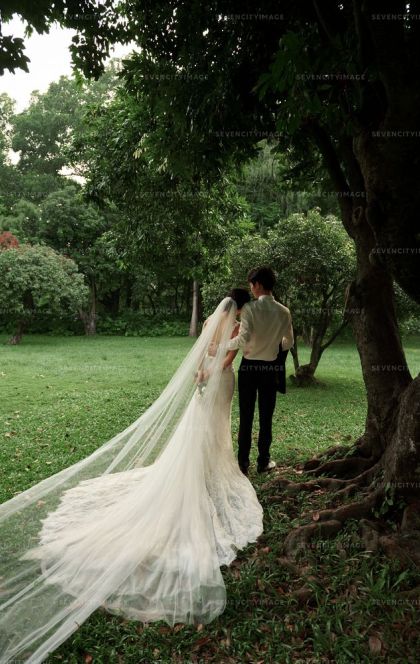 11月2日精选客照