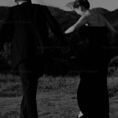 11月17日精选客照