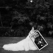 婚礼纪实-Like You