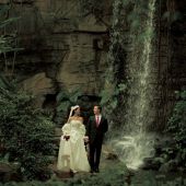 都市1980-蓝岸丽舍