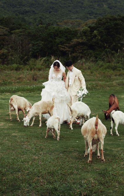 6月9日精选客照