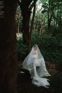 7月3日精选客照