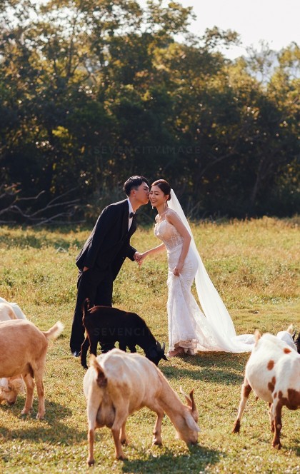 11月6日精选客照