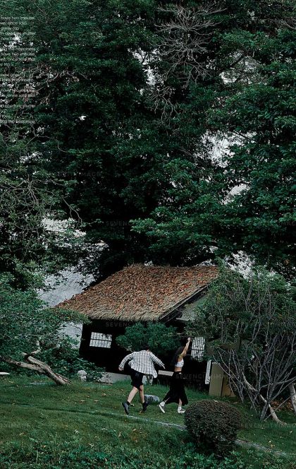 12月28日精选客照