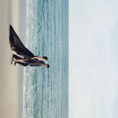 4月26日精选客照