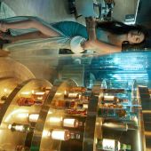 城市旅行16.0广州站