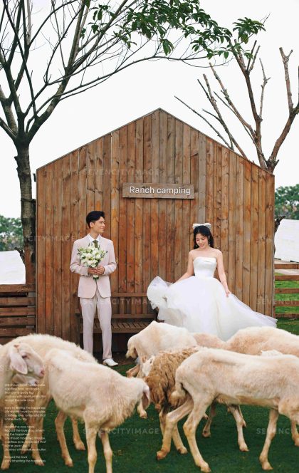 7月2日精选客照