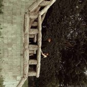 8月18日精选客照