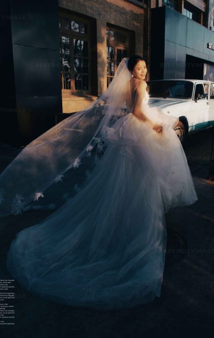 11月4日精选客照