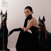 11月14日精选客照