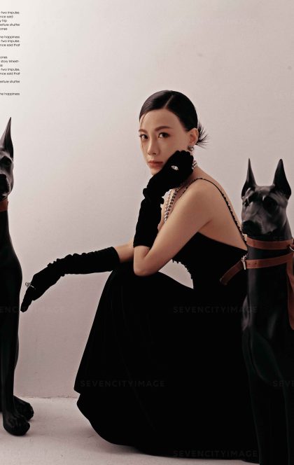 11月14日精选客照