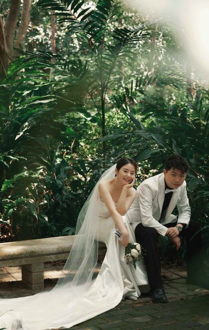 11月20日精选客照