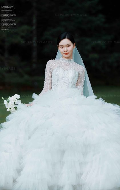 11月28日精选客照