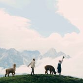 11月29日精选客照