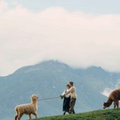 11月29日精选客照