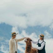 11月29日精选客照