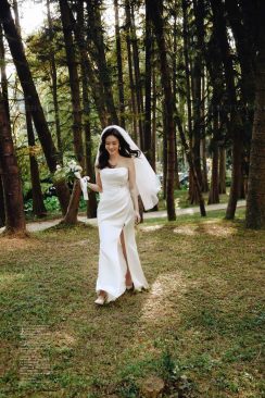 12月9日精选客照