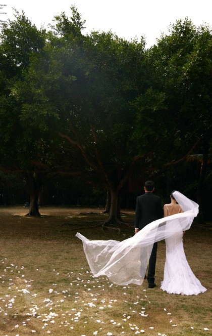 1月13日精选客照