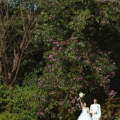 情感计划1.0情书-深圳