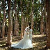 情感计划1.0情书-深圳