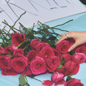 城市旅行19.0-广州