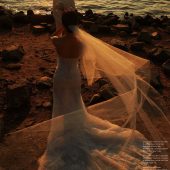 7月8日精选客照·深圳