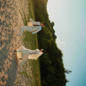 11月2日精选客照·深圳