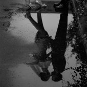 11月8日精选客照·深圳