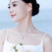 12月10日精选客照·深圳