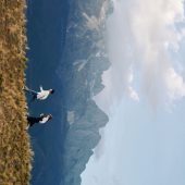 1月17日精选客照·丽江