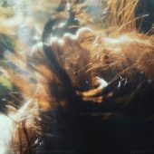 1月20日精选客照·丽江