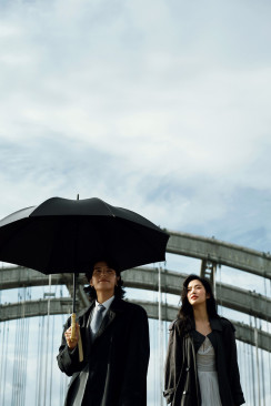 The autumn  in  the south