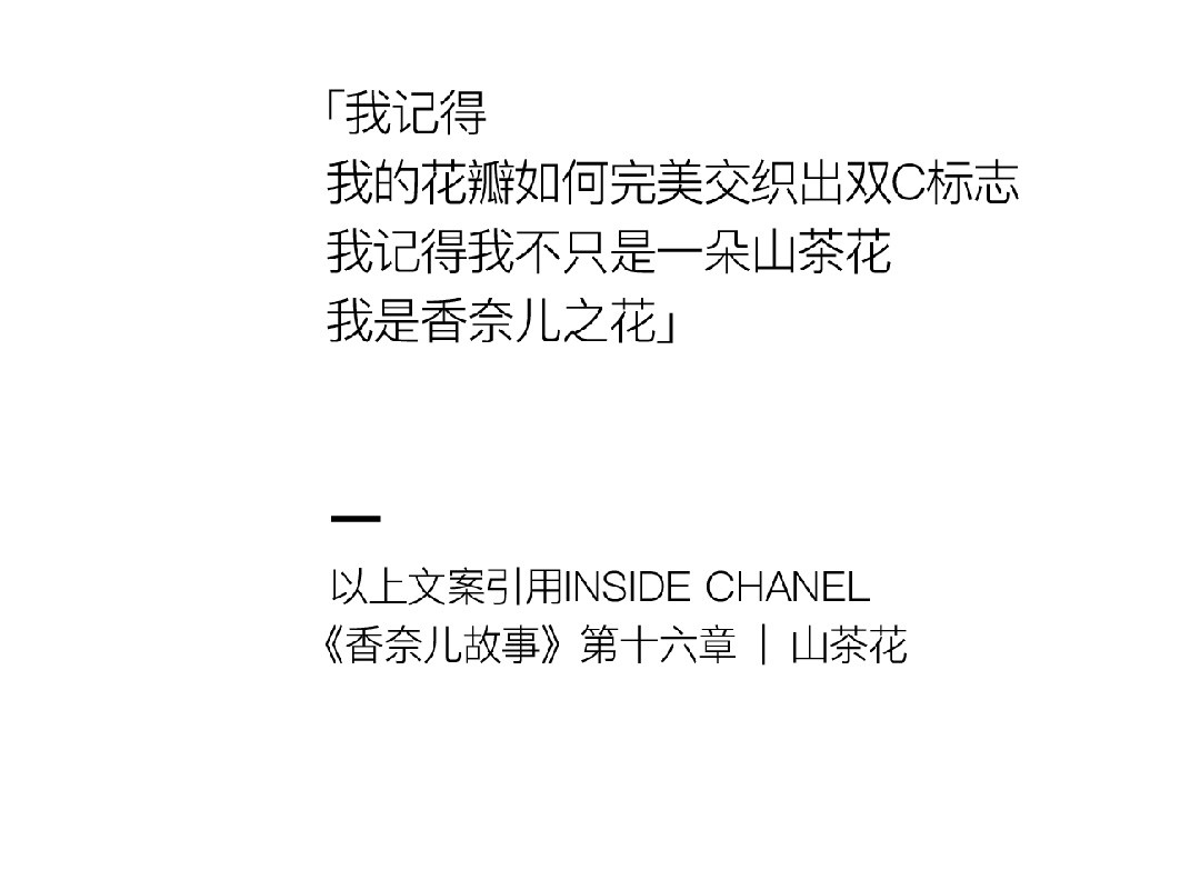山茶花開時 | 2022 奎恩摄影 意境东方早春新品