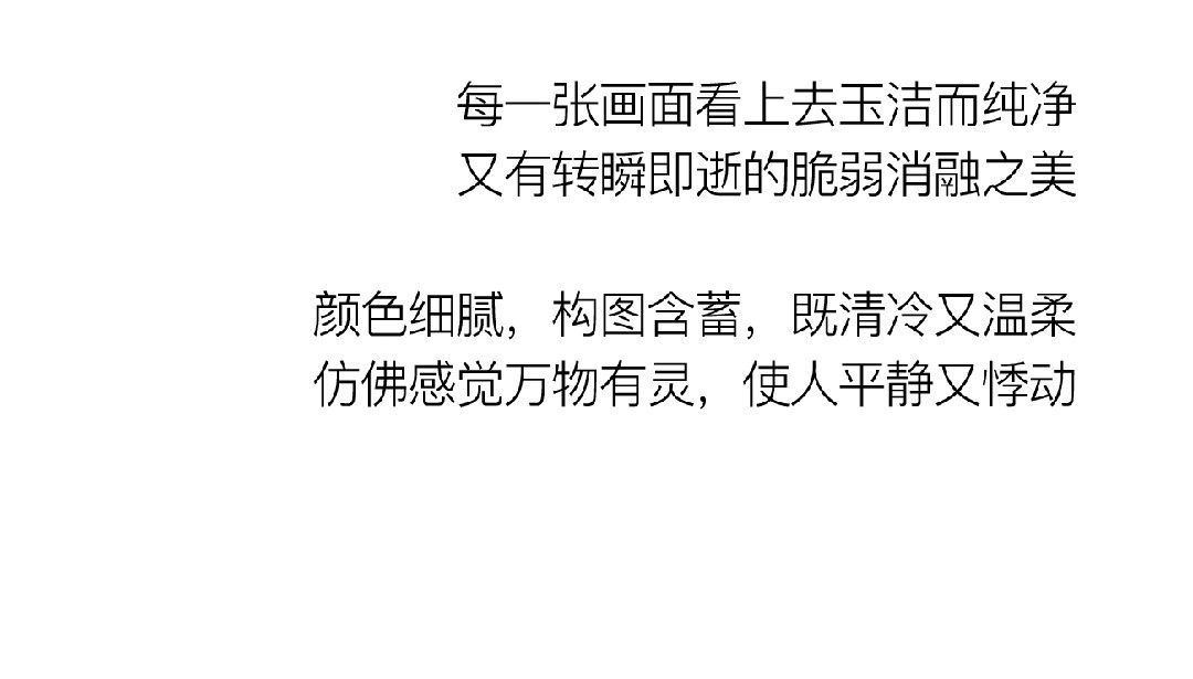 山茶花開時 | 2022 奎恩摄影 意境东方早春新品