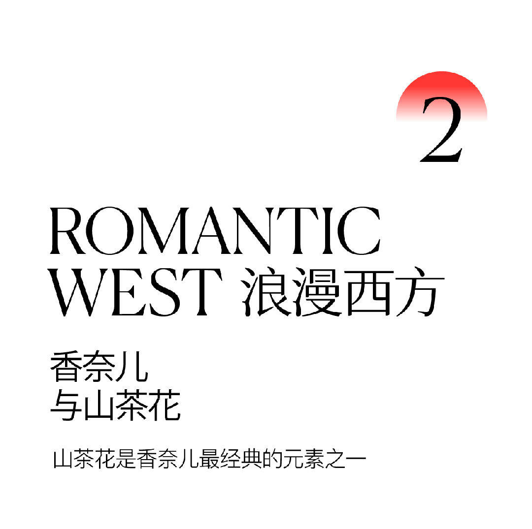 山茶花開時 | 2022 奎恩摄影 意境东方早春新品