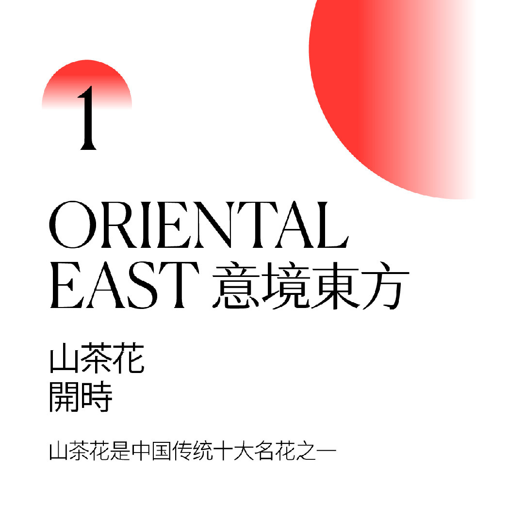 山茶花開時 | 2022 奎恩摄影 意境东方早春新品