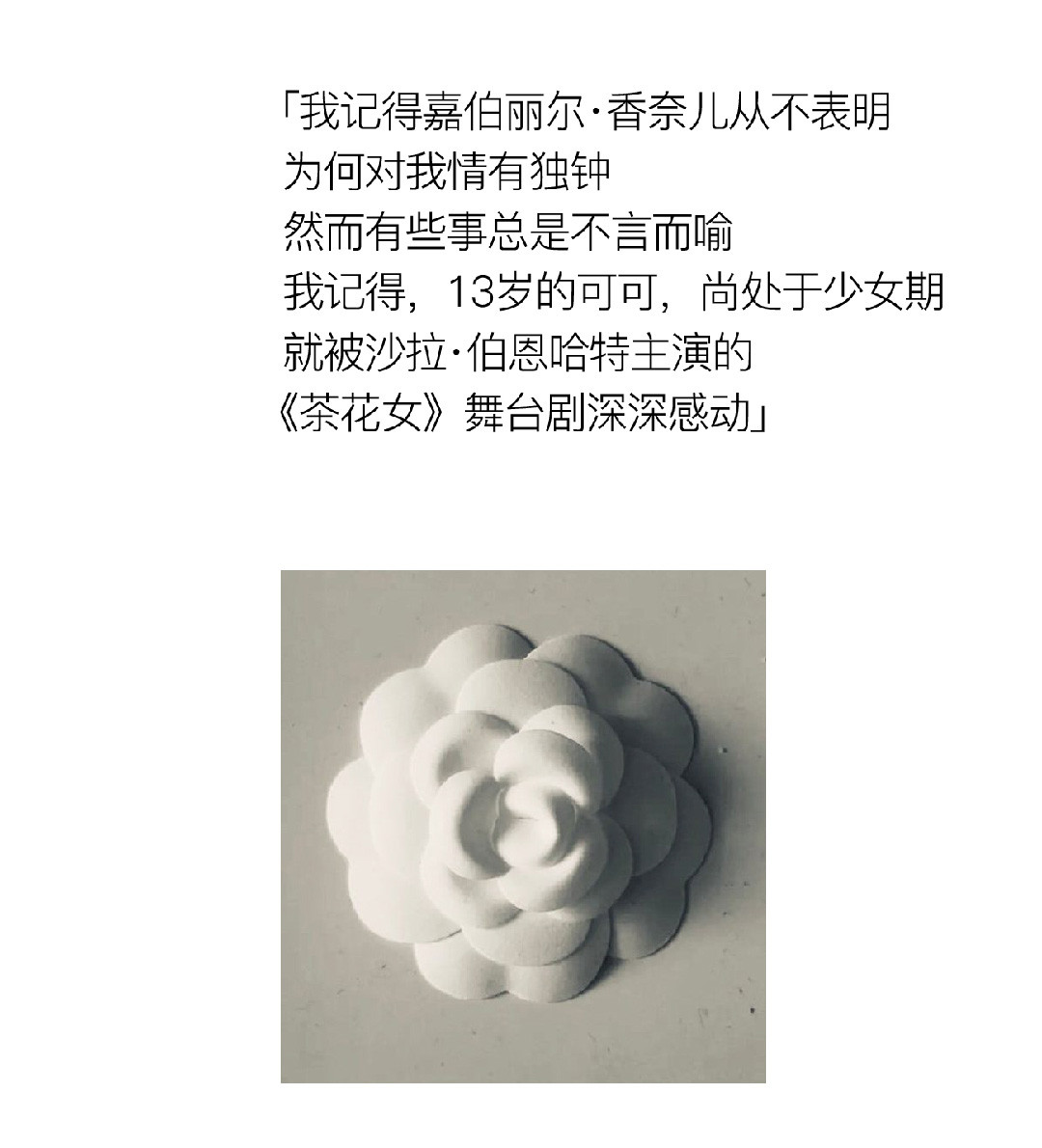 山茶花開時 | 2022 奎恩摄影 意境东方早春新品