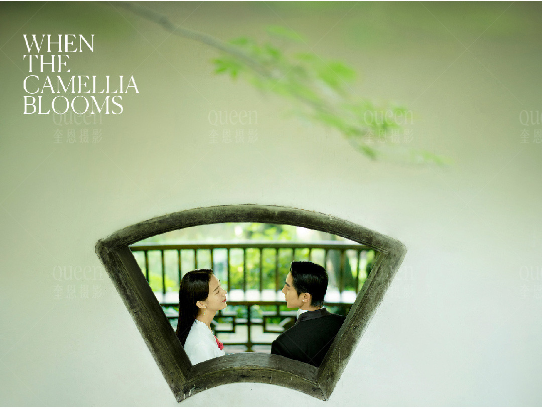 山茶花開時 | 2022 奎恩摄影 意境东方早春新品